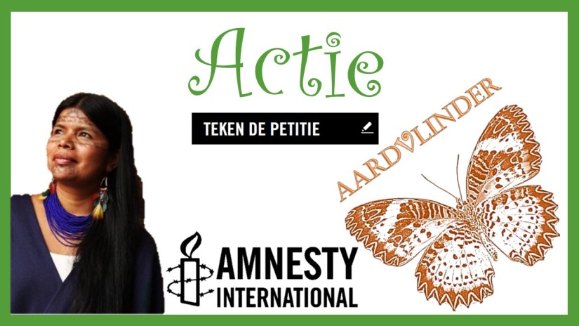 Amnesty Patricia Gualinga