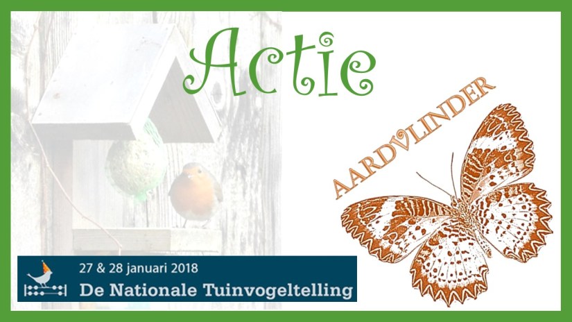 Nationale Tuinvogeltelling