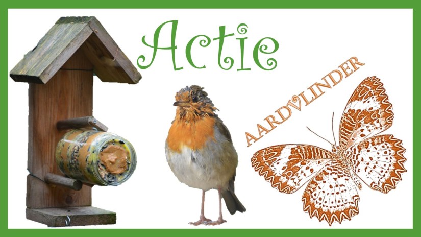 Vogels bijvoeren in de winter