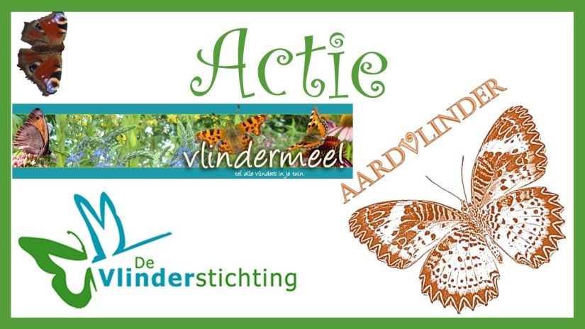 Tuinvlinder tel tiendaagse