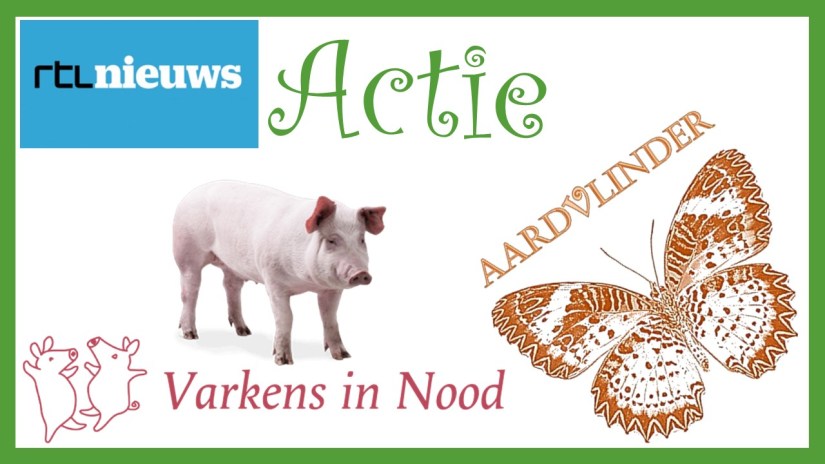 Varkens in Nood